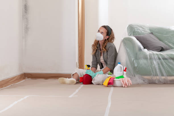 Reliable Basement Mold Remediation contractor in Carteret, NJ by WQB Mold Removal